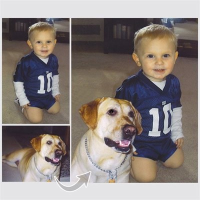 Combine Photos - myDaVinci